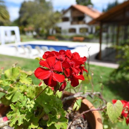 Quinta La Constanza Hotel Tababela Ngoại thất bức ảnh