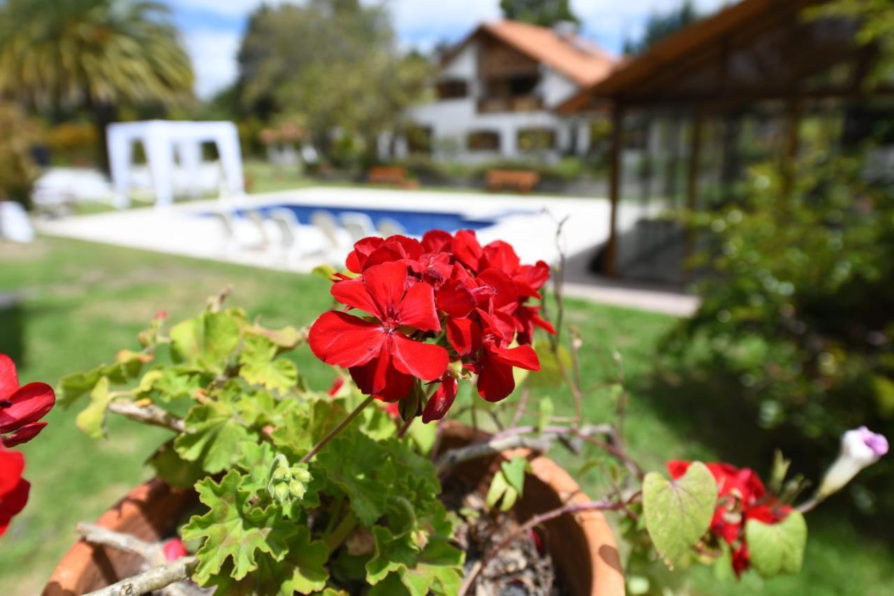 Quinta La Constanza Hotel Tababela Ngoại thất bức ảnh
